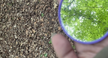 Warsztaty ,,Gotowi na edukację